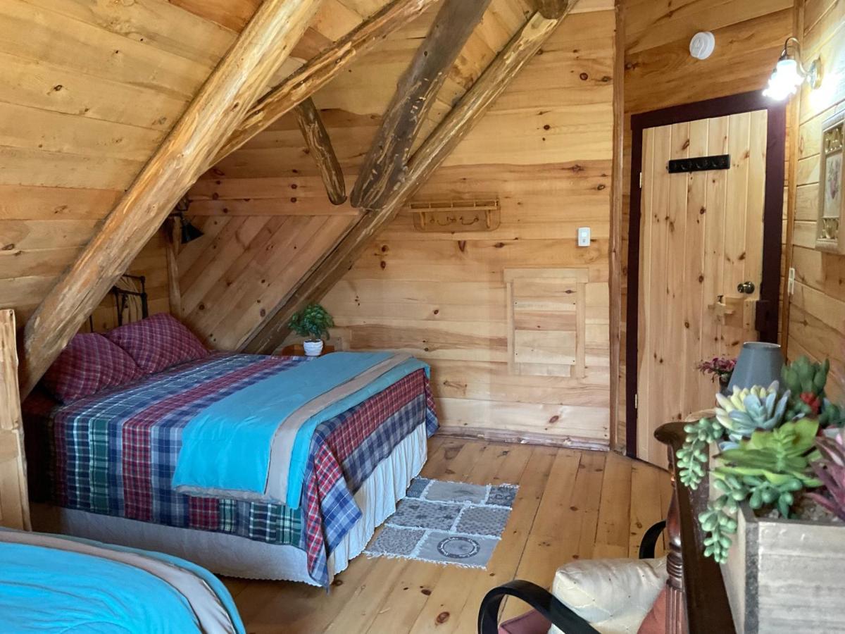 Lodge Solange Palatino Bridge Ngoại thất bức ảnh